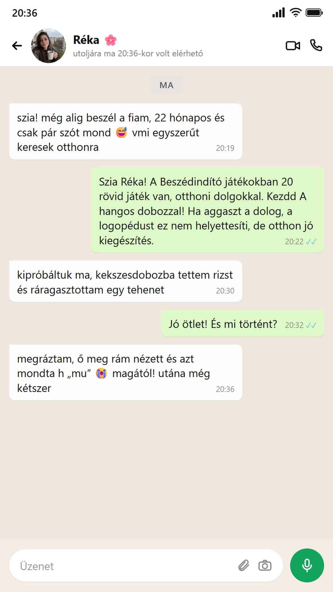 Egy anyuka, akinek a gyereke még alig beszél, a Beszédindító játékokról ír